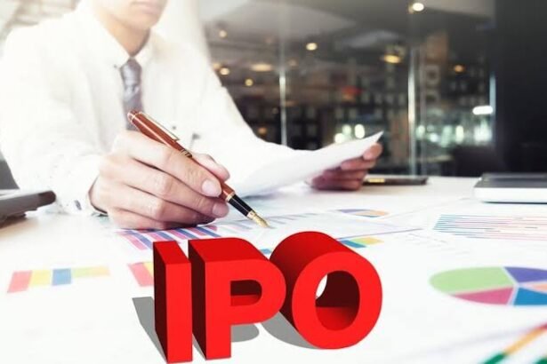 Ipo Investment guide